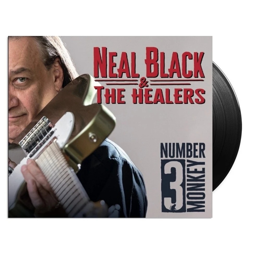 Neal_Black_-_Number_3_Monkey_01-1.jpeg
