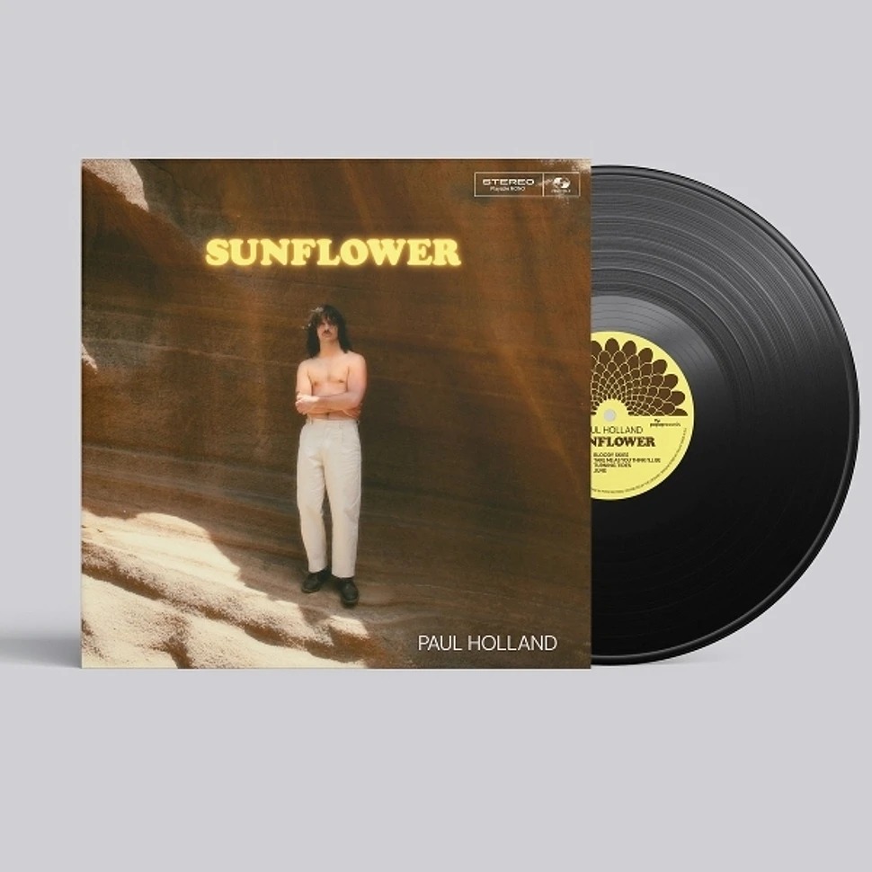 Paul_Holland_-_Sunflower_01-1.jpeg