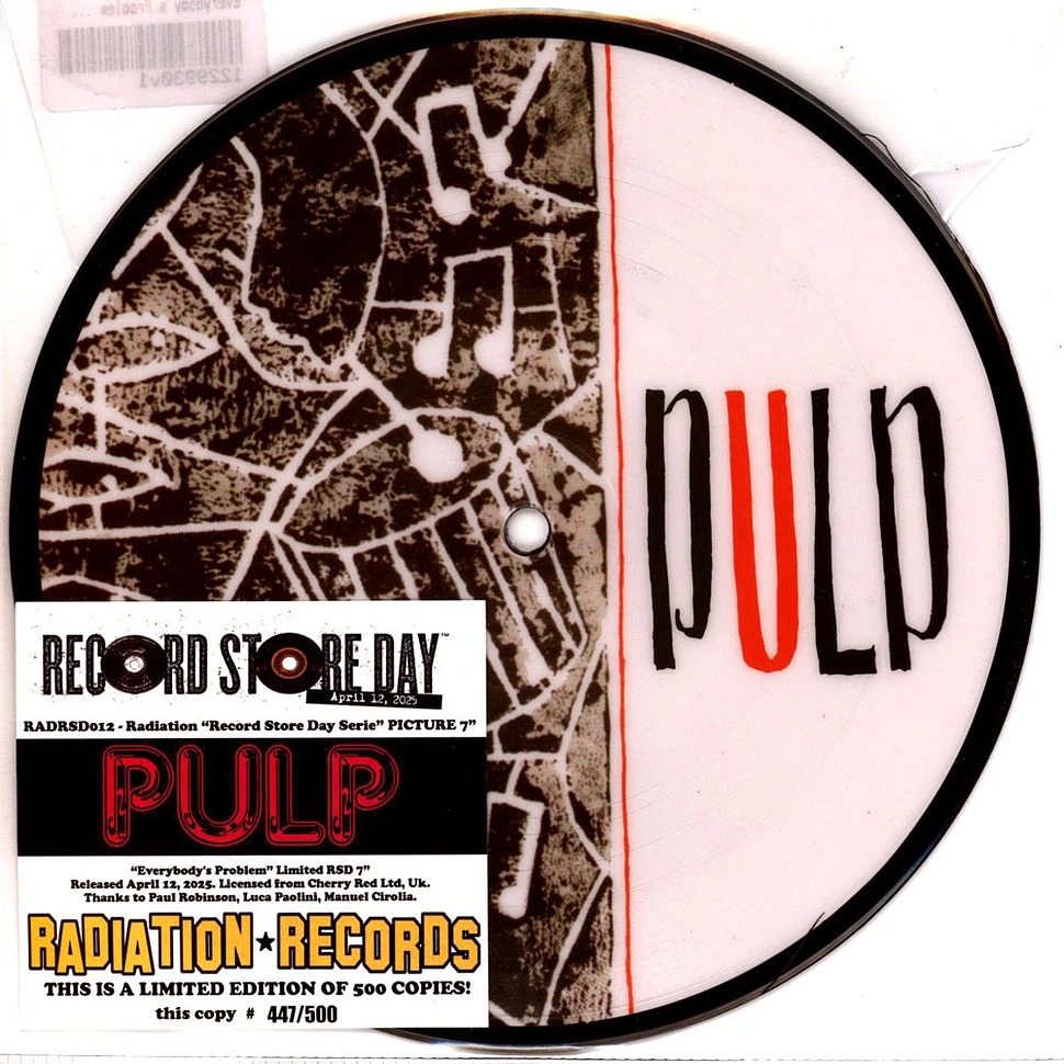 Pulp_-_Everybodys_Problem_There_Was._Record_Store_Day_2025_Picture_Disc_Vinyl_Edition_01.jpeg