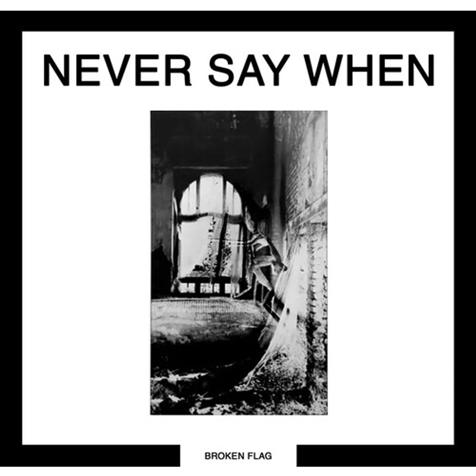 Never_Say_When_V.A._-_Never_Say_When_Various-1.jpeg