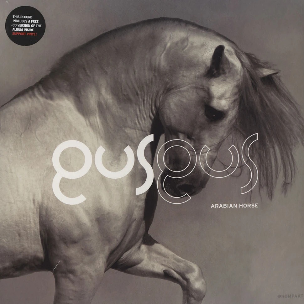 Gus_Gus_-_Arabian_Horse-1-1.jpeg