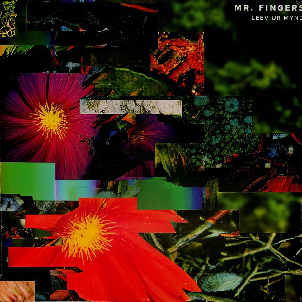 Mr._Fingers_-_Leev_Ur_Mynd-1-1.jpeg
