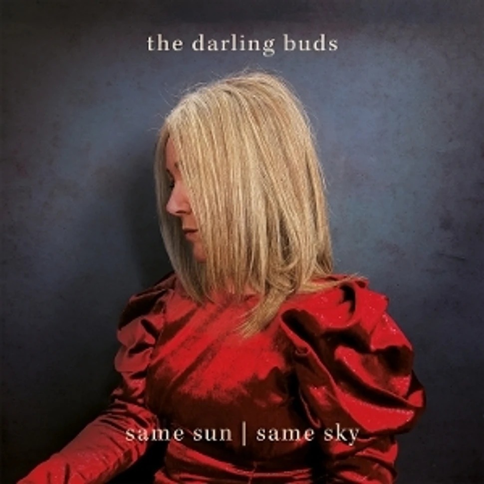 The_Darling_Buds_-_Same_Sunsame_Sky_Black_Vinyl_Edition-1.jpeg