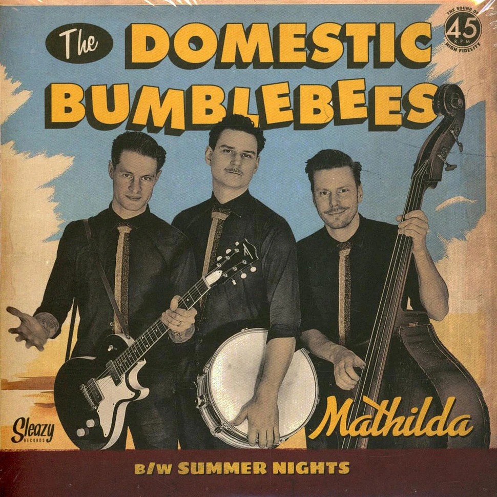 The_Domestic_Bumblebees_-_Mathilda-1-1.jpeg