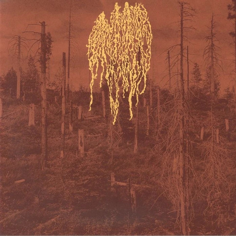 Petrozavodsk_-_Forest_Fire-1-1.jpeg